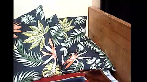 cristy online show from 10.14.25