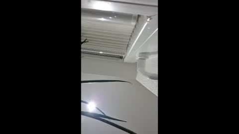 holzinger online show from 04.05.26