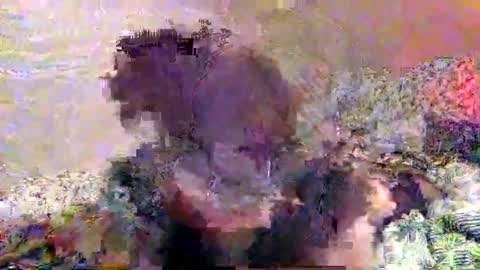 Snapshot of hometownwitch chatting on 11.25.25 hometownwitch online show from 11.25.25