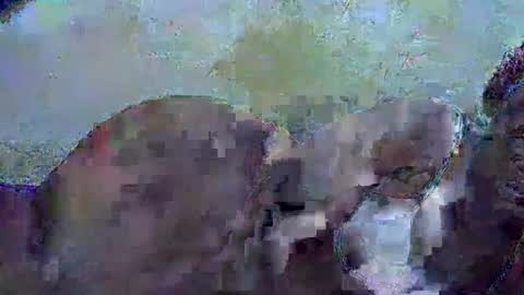 honey_sunshiny online show from 02.03.26