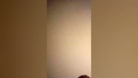honeybear2026 online show from 07.03.26