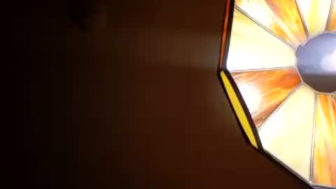honeybear2026 online show from 07.28.26