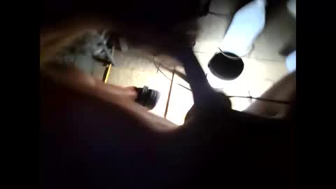 hongdong online show from 11.15.25