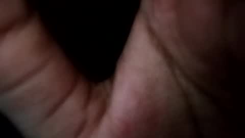 honorhorny online show from 03.08.26