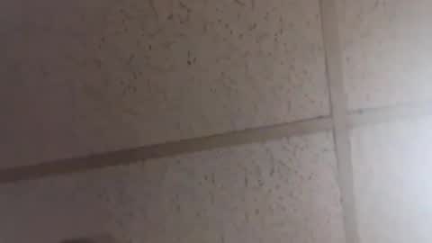 Dominick Subversal online show from 02.20.26