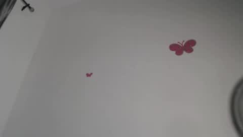 Iris online show from 11.04.25