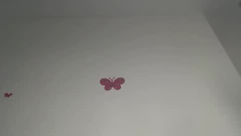 Iris online show from 02.21.26