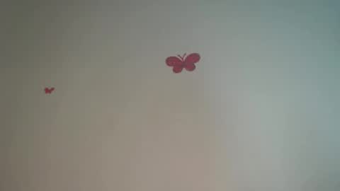 Iris online show from 04.04.26