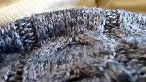 Tiny cock online show from 03.02.25