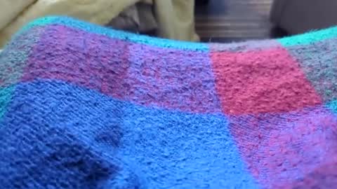 Tiny cock online show from 01.11.26