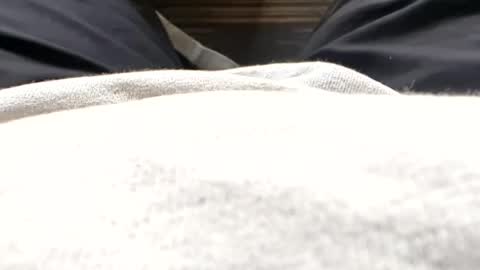 Snapshot of hornyallthetime6969696969 chatting on 07.15.26 Tiny cock online show from 07.15.26