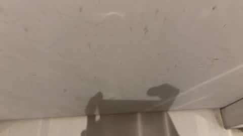 hornybear420420420 online show from 03.02.26