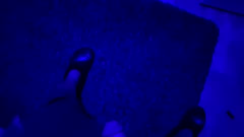 hornystroker21 online show from 10.19.25