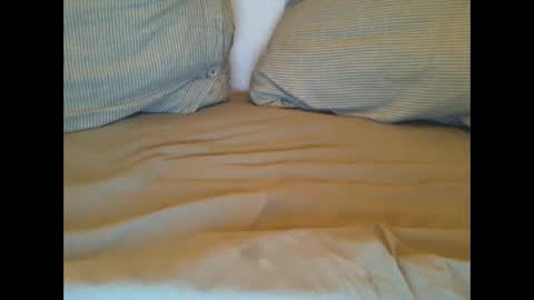 Snapshot of hot_lars chatting on 03.01.25 Lars online show from 03.01.25