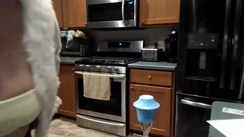 hotboobs117 online show from 04.28.26