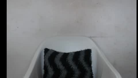 hotjessie0 online show from 10.03.25