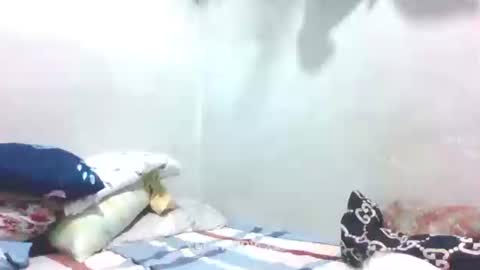 hotlavender online show from 01.27.25