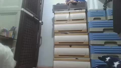 hotlavender online show from 12.17.25