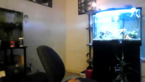 Snapshot of hrnyymff chatting on 06.29.26 hrnyymff online show from 06.29.26