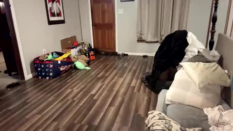 htwnswangn9 online show from 03.31.26