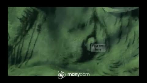 hung420boner online show from 03.10.26