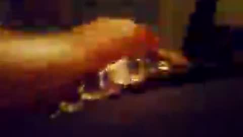 Snapshot of hungnhard1991 chatting on 07.23.26 Aussieboy69 online show from 07.23.26