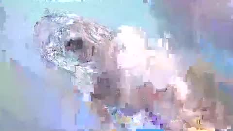 cant get you out of my head online show from 02.15.25