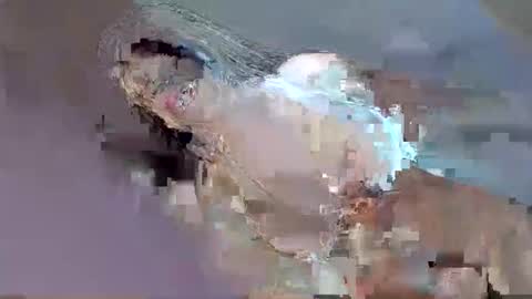 cant get you out of my head online show from 09.12.25