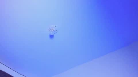 NAHO online show from 10.01.25