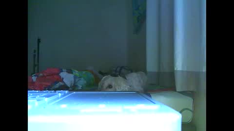 Snapshot of ian_zaenz chatting on 11.07.25 Ian is back my loves online show from 11.07.25