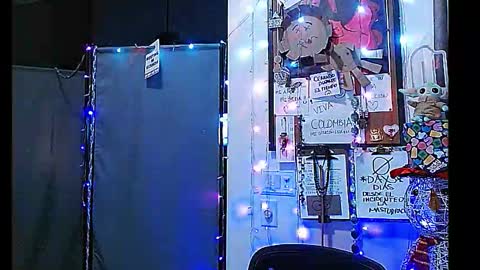 Snapshot of ibpms247 chatting on 01.01.25 PMS online show from 01.01.25