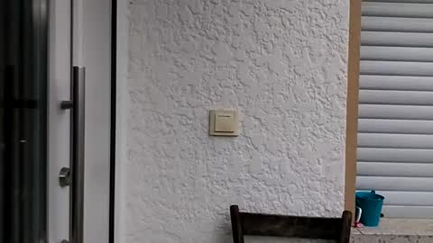 Snapshot of icheinfachich13 chatting on 10.21.25 icheinfachich13 online show from 10.21.25