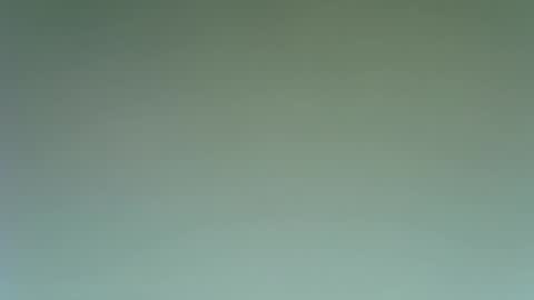 idkwhattowatch online show from 12.23.24