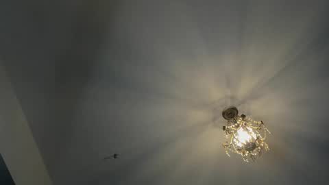 Igor scott online show from 02.16.25