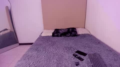 Perseo - Help me with 50 thumbs up online show from 02.26.26