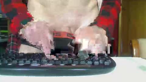 Snapshot of imaussiechris chatting on 10.21.25 Aussie Guy online show from 10.21.25