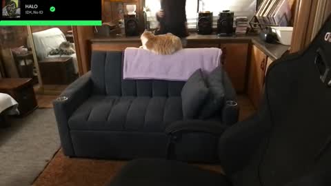 Carter online show from 02.05.26