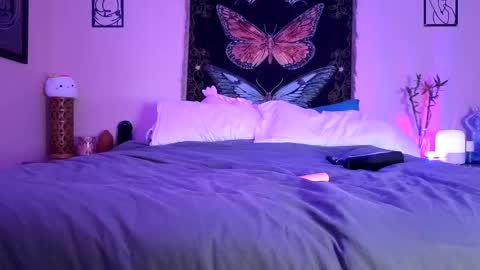 Indigo Bay online show from 02.14.26