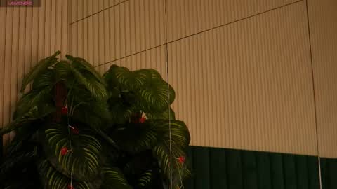 Maria online show from 10.31.25