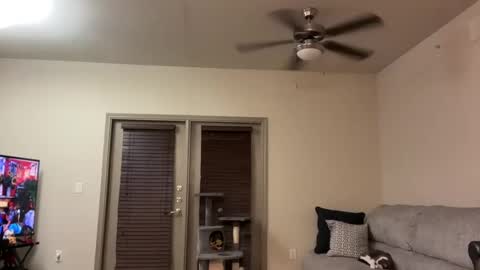 Snapshot of irissweets chatting on 03.12.25 irissweets online show from 03.12.25