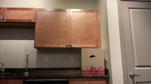 Snapshot of irissweets chatting on 04.10.26 irissweets online show from 04.10.26