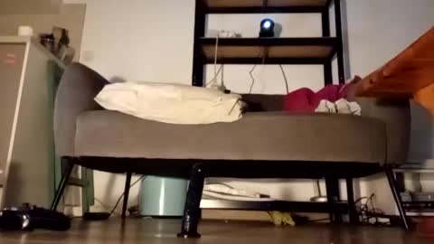 iron_cock40 online show from 04.24.26