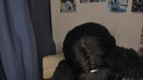 Snapshot of isabell_xstar chatting on 03.03.25 isa 3 online show from 03.03.25