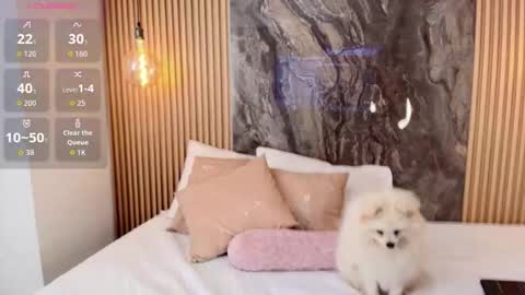 Snapshot of isadora_14 chatting on 10.13.25 ISADORA online show from 10.13.25