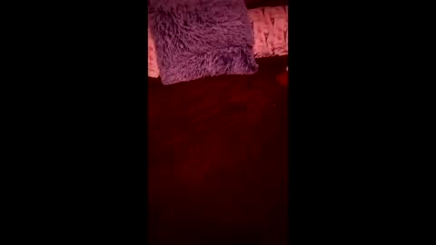 Ral online show from 04.24.26