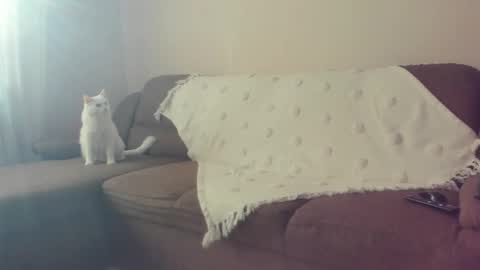 Issabelle online show from 10.30.25