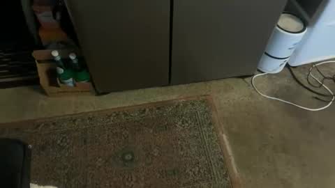 Snapshot of italiano9in chatting on 11.03.25 Tony online show from 11.03.25