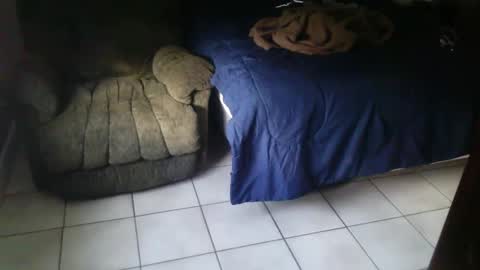 BearlyLoganFL online show from 09.11.25