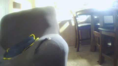 italythick online show from 07.12.26