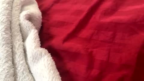 itsjayyourbae online show from 11.22.25